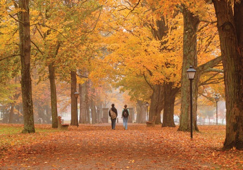 Beautiful College Campuses In America