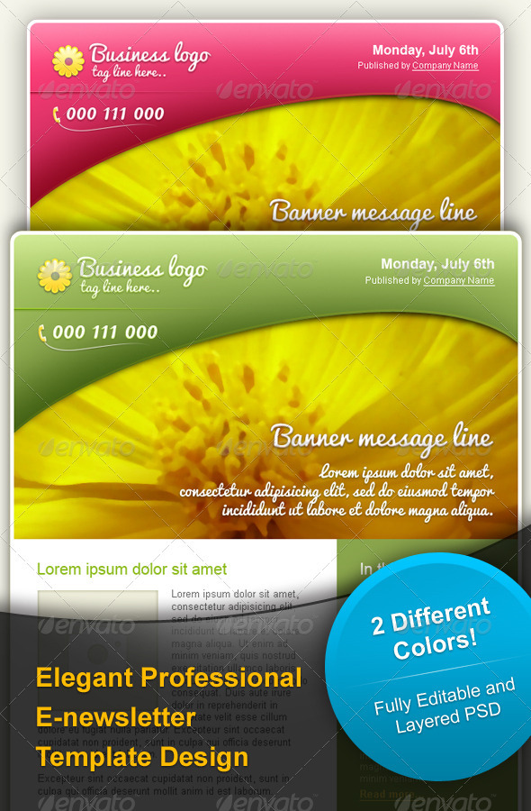 Best Newsletter Templates Design