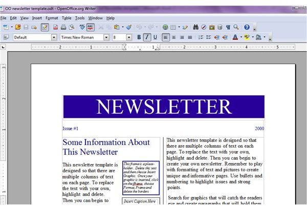 Free Newsletter Templates For Word 2010