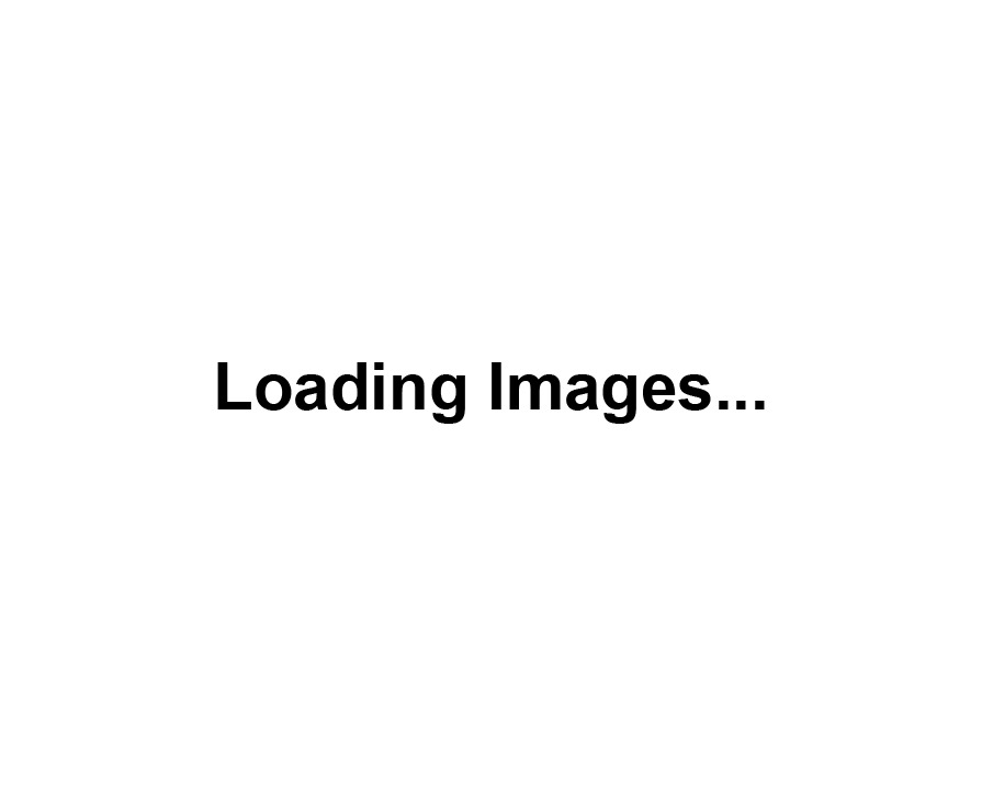 Loading Gif Image