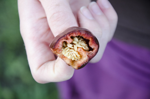 Mini Chocolate Bell Pepper